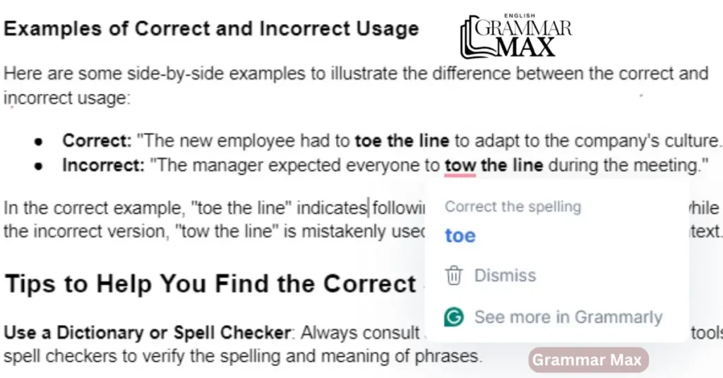 examples-of-correct-and-incorrect-usage