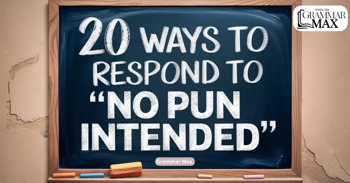 20 Ways to Respond to “No Pun Intended”