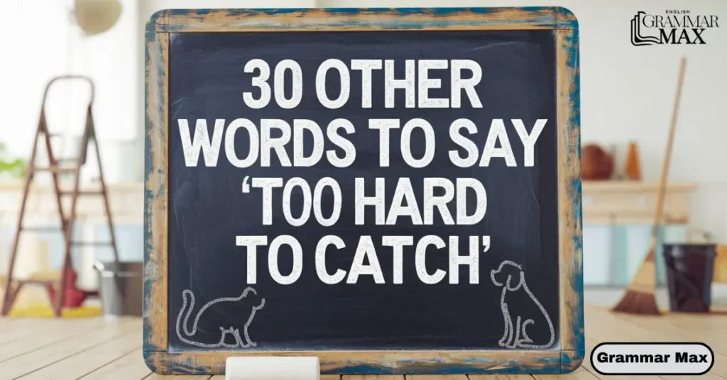 30-other-words-to-say-Too-hard-to-catch