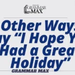 15-Other-Ways-to-Say-I-Hope-You-Had-a-Great-Holiday