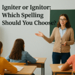 Igniter or Ignitor