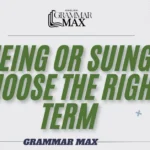 Sueing-or-Suing-Choose-the-Right-Term